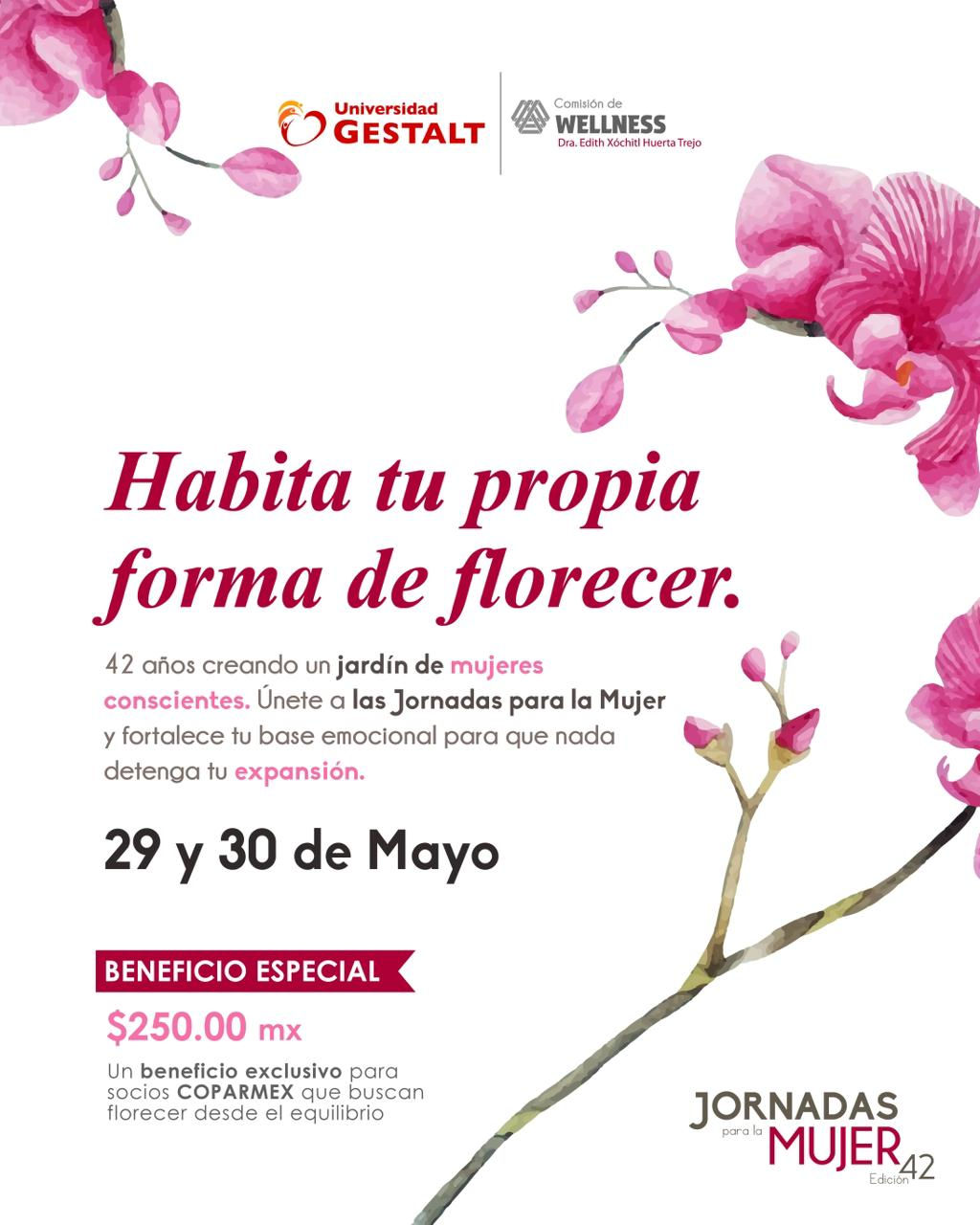 Jornadas para la Mujer