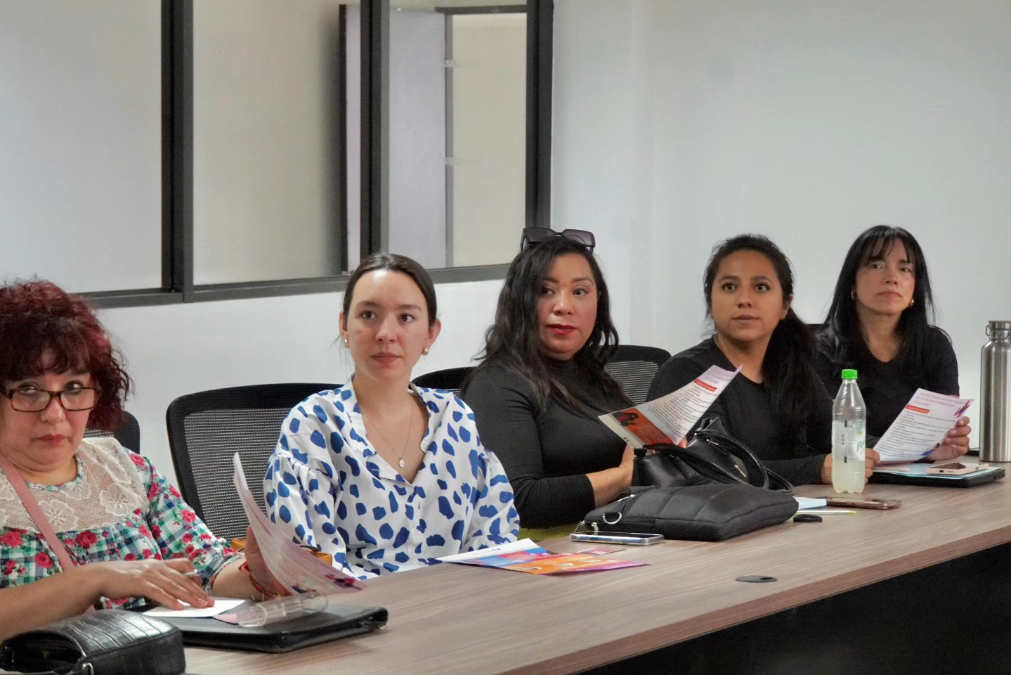Autonomia Economica para las Mujeres, foto 4